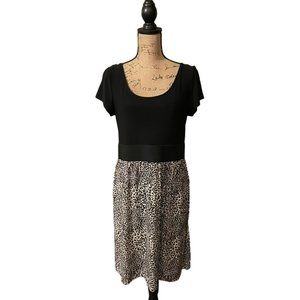 Fashion Bug Dress‎